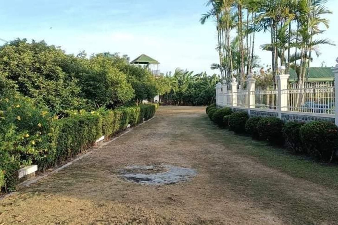 Land for Sale in New Katipunan, Santo Tomas, Davao del Norte – photo 5