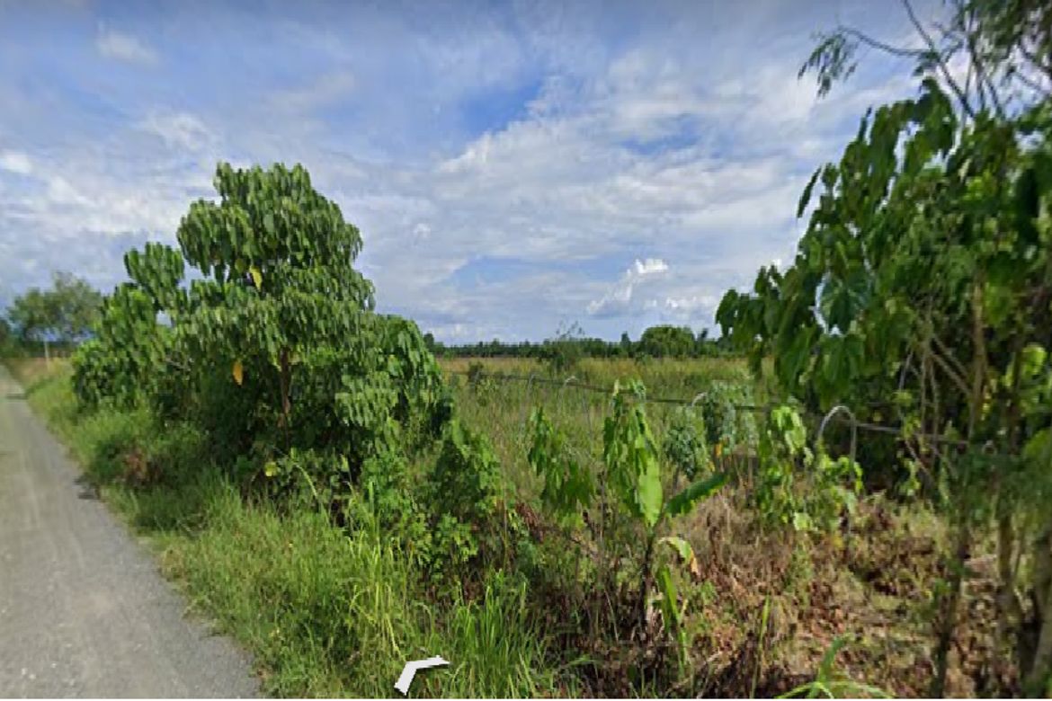 Land for Sale in New Pandan, Panabo, Davao del Norte – photo 2