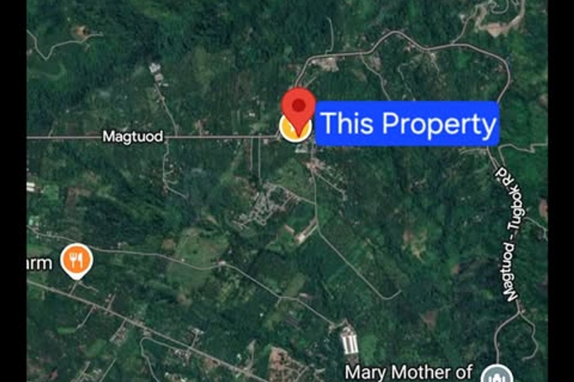 Land for Sale in New Valencia, Davao City, Davao del Sur – photo 3