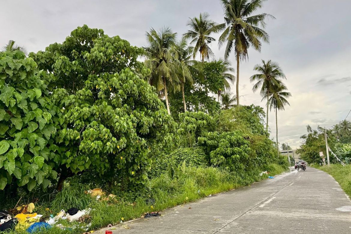 Land for Sale in New Visayas, Panabo, Davao del Norte – photo 5