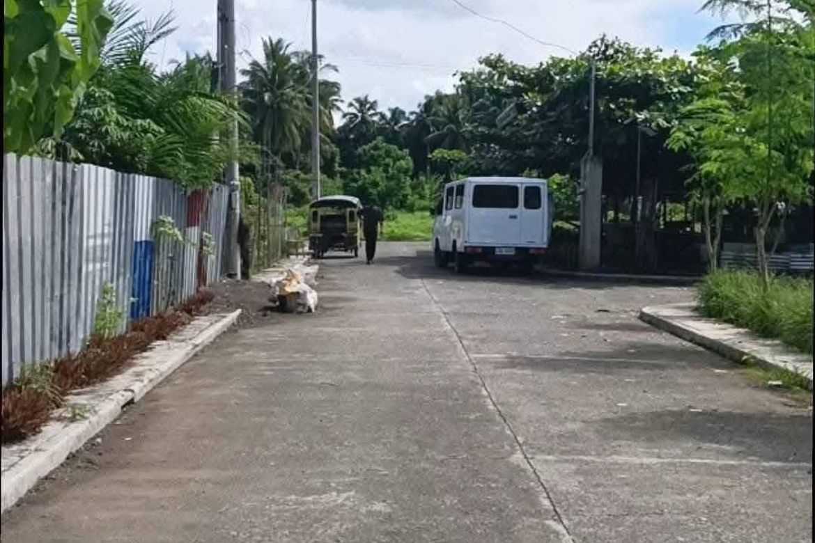Land for Sale in New Visayas, Panabo, Davao del Norte – photo 3