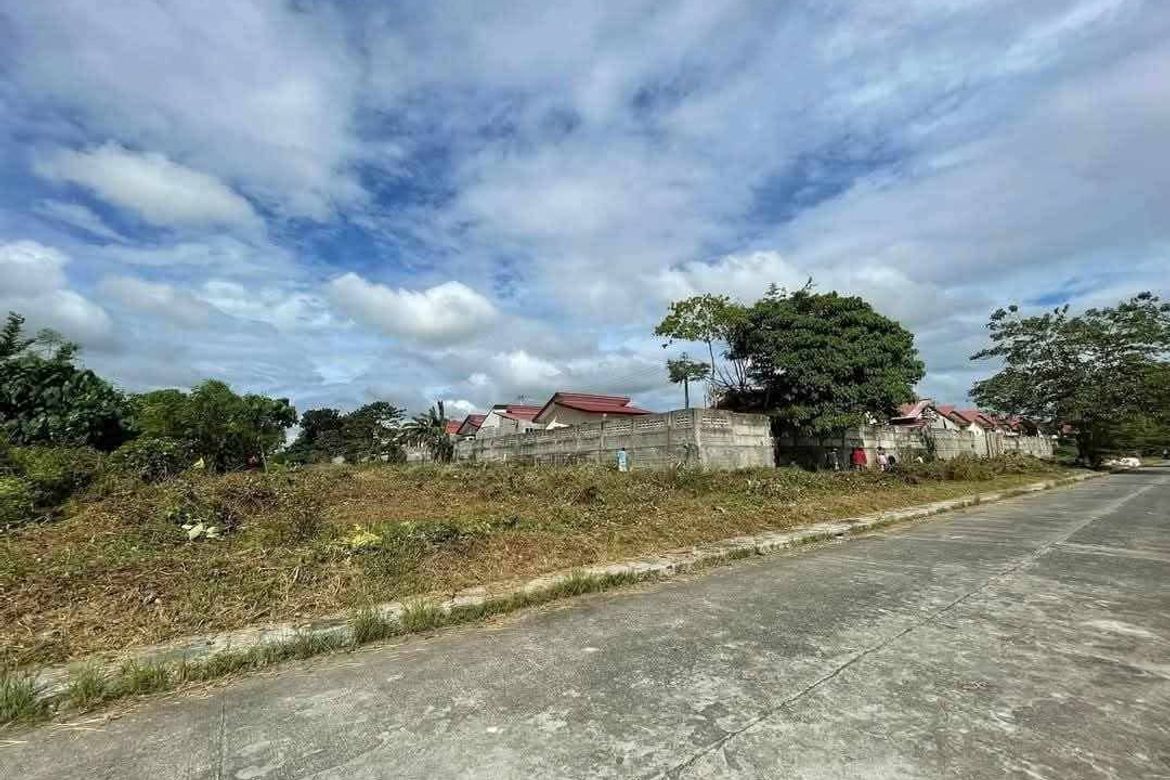 Land for Sale in New Visayas, Panabo, Davao del Norte – photo 2