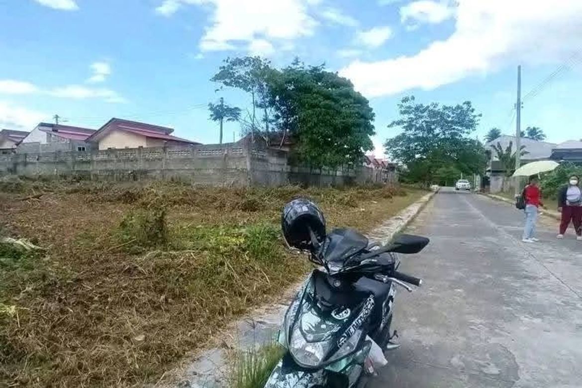 Land for Sale in New Visayas, Panabo, Davao del Norte – photo 8