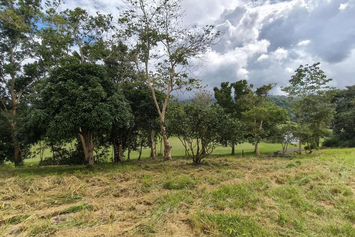Land for Sale in Niyugan, Laurel, Batangas – photo 5