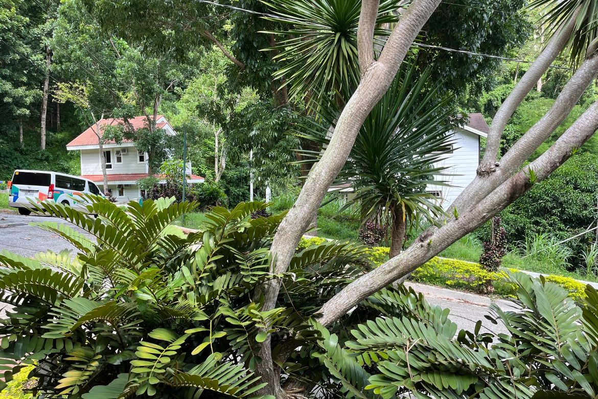 Land for Sale in Niyugan, Laurel, Batangas – photo 3