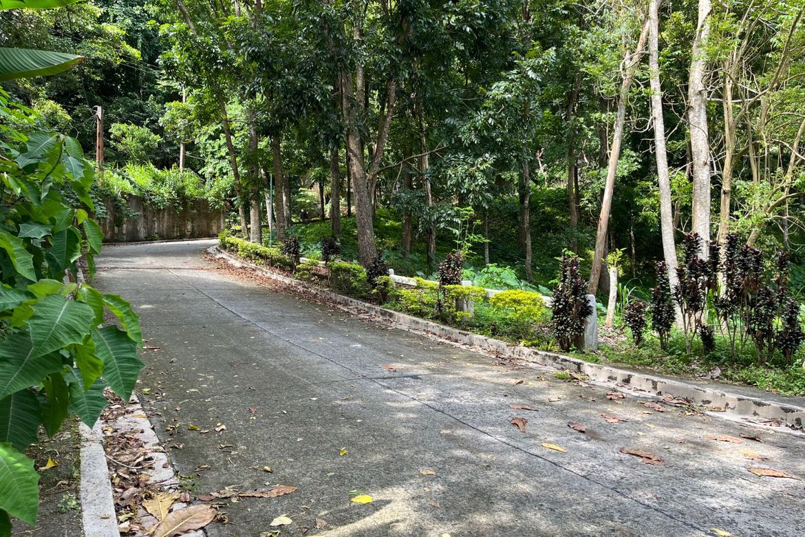 Land for Sale in Niyugan, Laurel, Batangas – photo 4