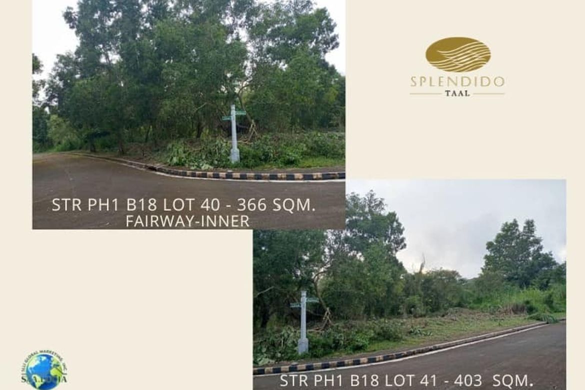 Land for Sale in Niyugan, Laurel, Batangas – photo 4
