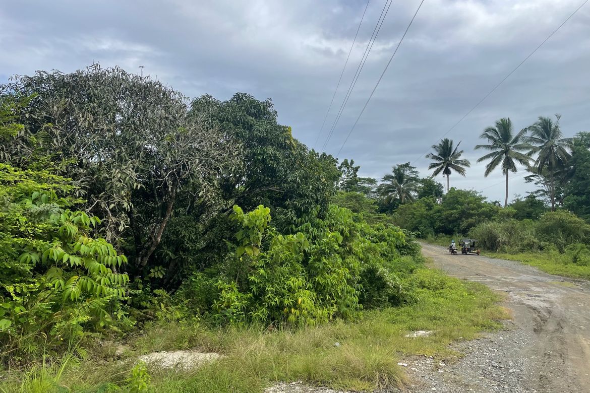 Land for Sale in Nong-Nong, Butuan, Agusan del Norte – photo 2