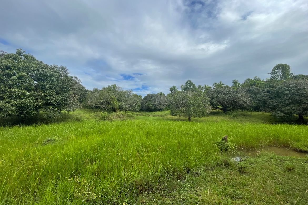 Land for Sale in Nong-Nong, Butuan, Agusan del Norte – photo 6