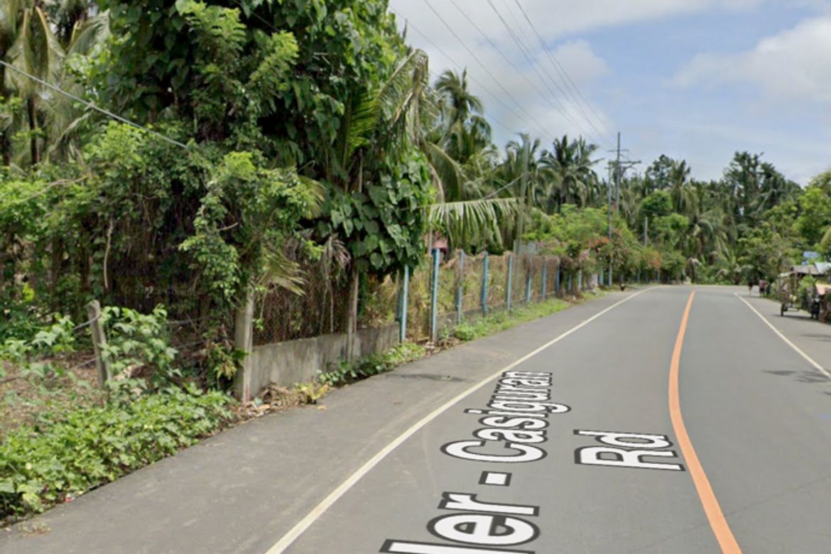 Land for Sale in North Poblacion, Dipaculao, Aurora – photo 2