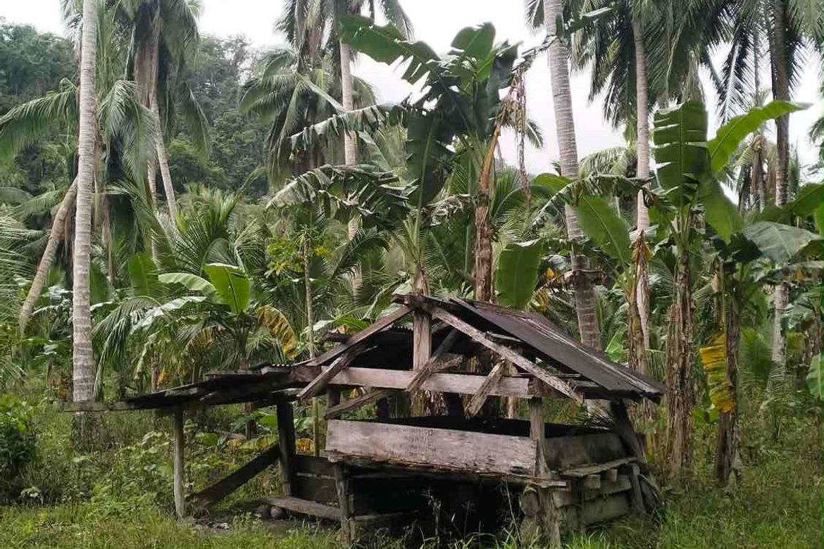 Land for Sale in North Poblacion, Dipaculao, Aurora – photo 7