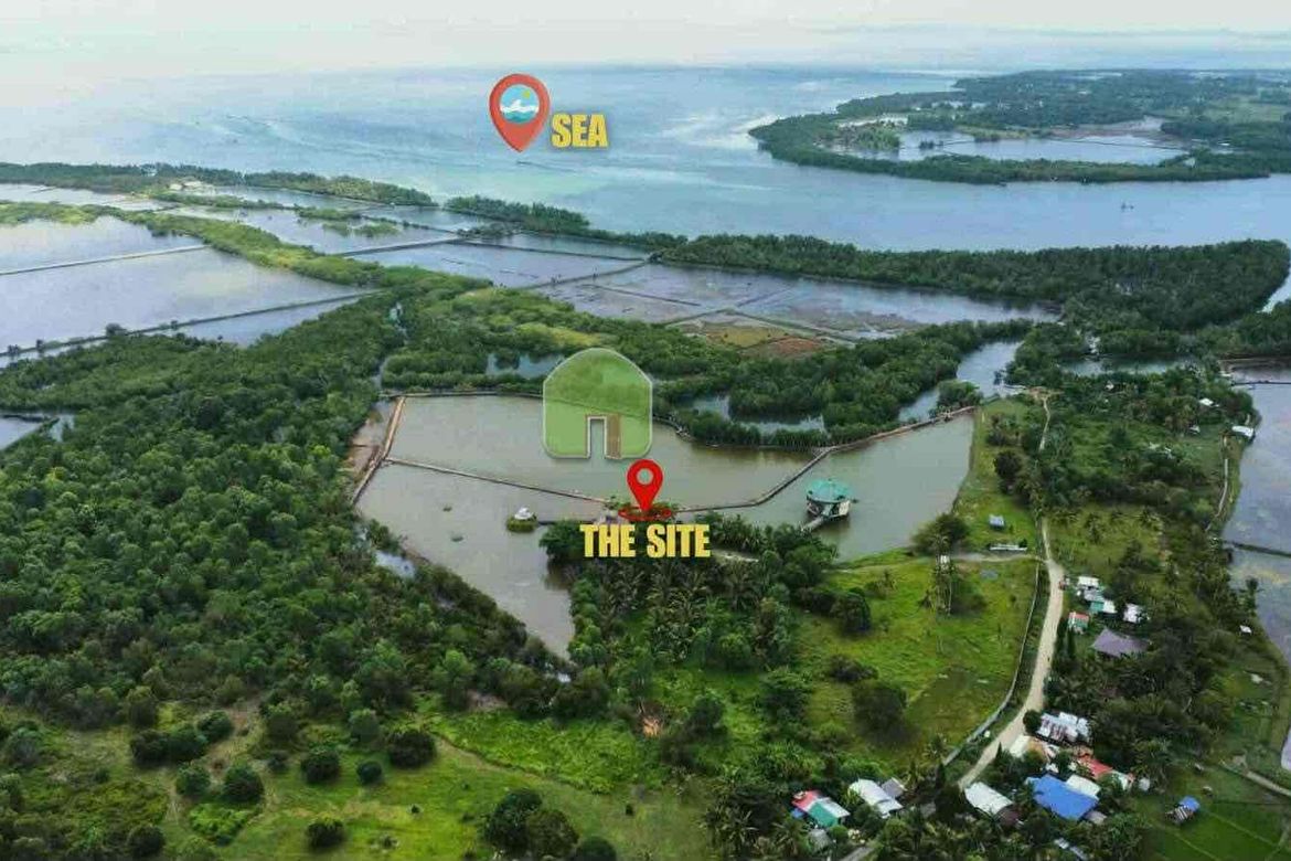 Land for Sale in Nueva Estrella, Bien Unido, Bohol – photo 2