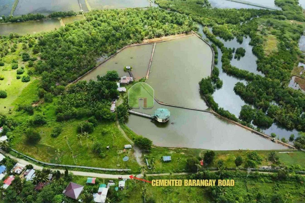 Land for Sale in Nueva Estrella, Bien Unido, Bohol – photo 4