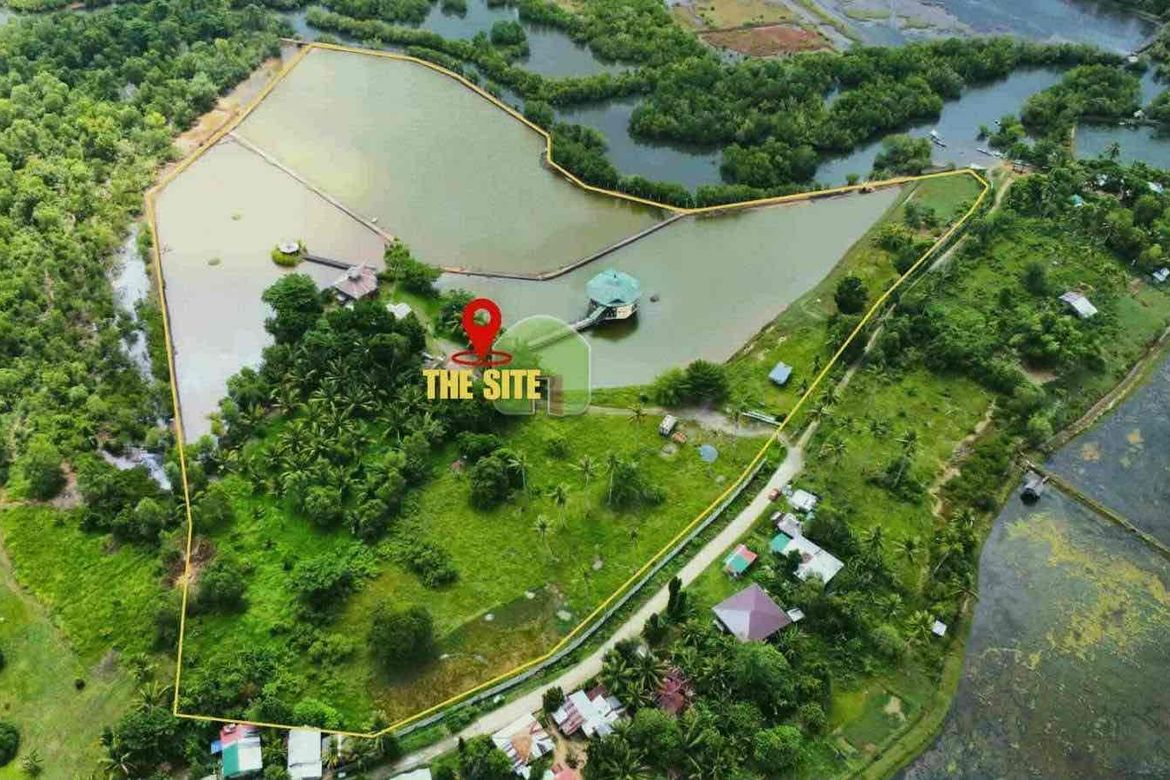 Land for Sale in Nueva Estrella, Bien Unido, Bohol – photo 6