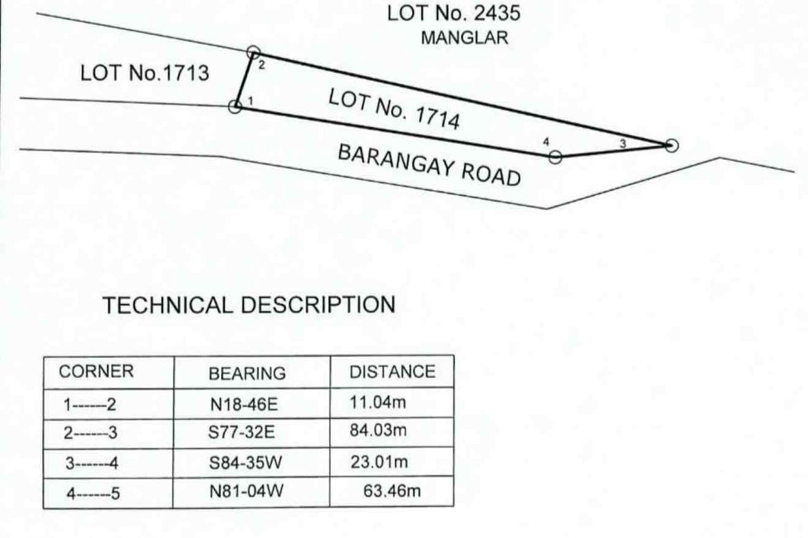 Land for Sale in Nueva Estrella, Bien Unido, Bohol – photo 7