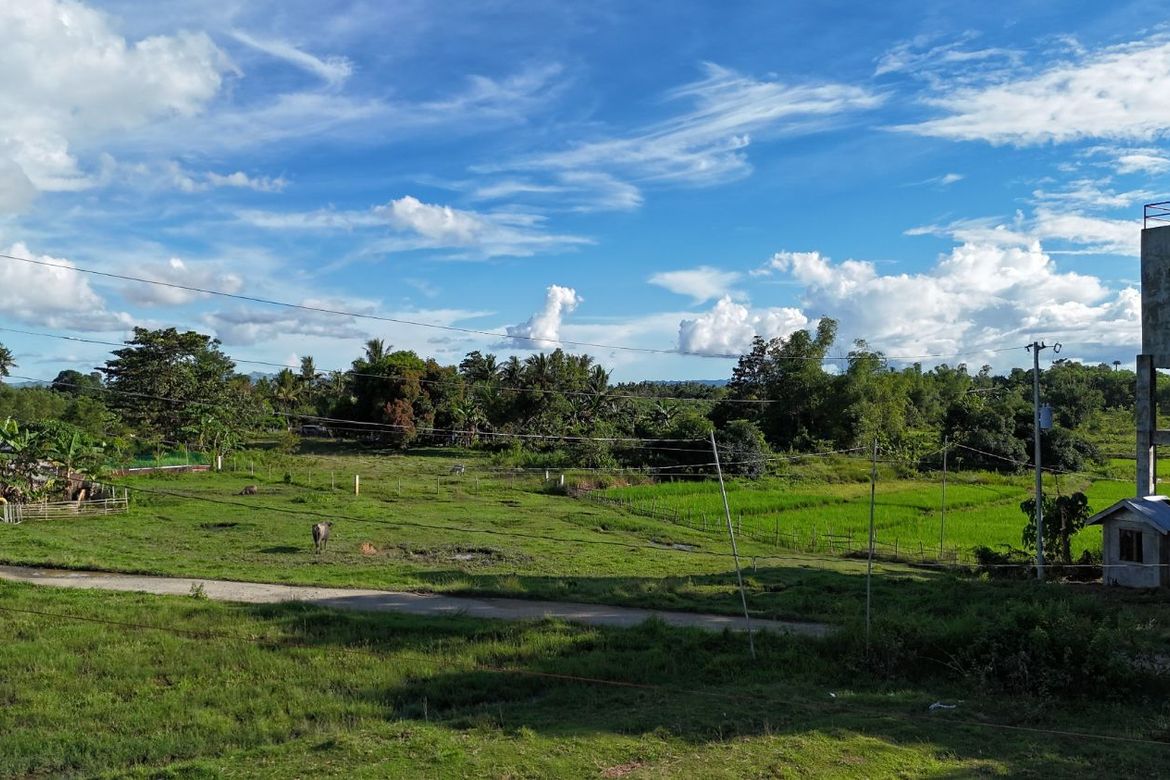 Land for Sale in Nueva Estrella, Bien Unido, Bohol – photo 3