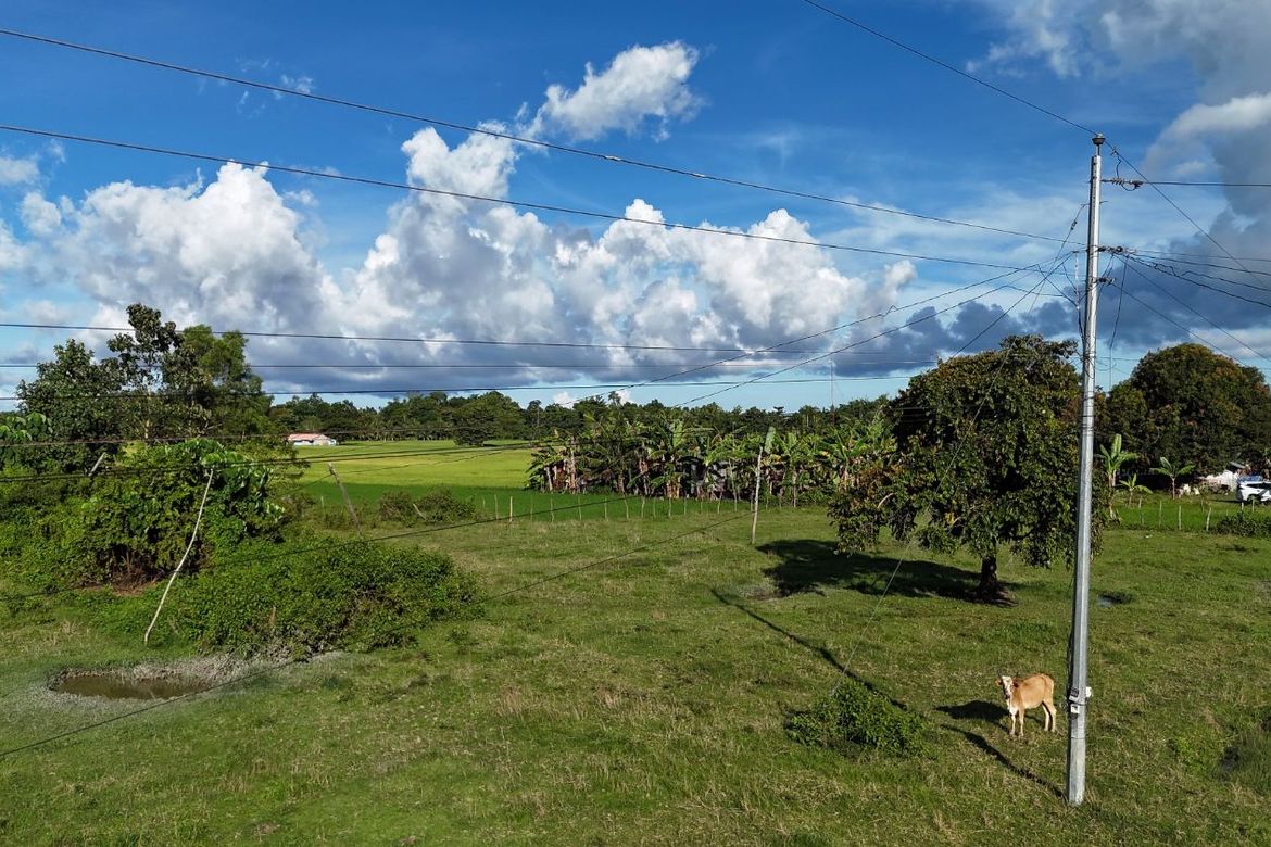 Land for Sale in Nueva Estrella, Bien Unido, Bohol – photo 5