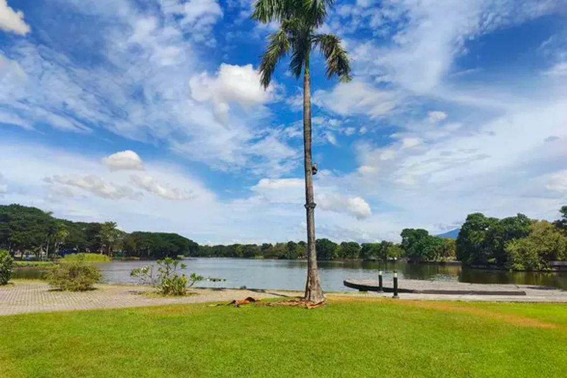 Land for Sale in Nueva Victoria, Mexico, Pampanga – photo 6