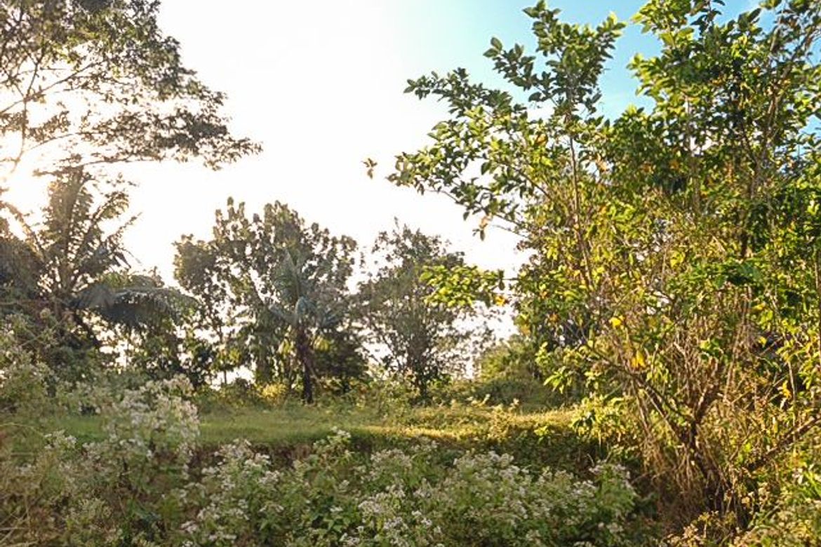 Land for Sale in Nusa Dua, Paradahan I, Tanza, Cavite – photo 2