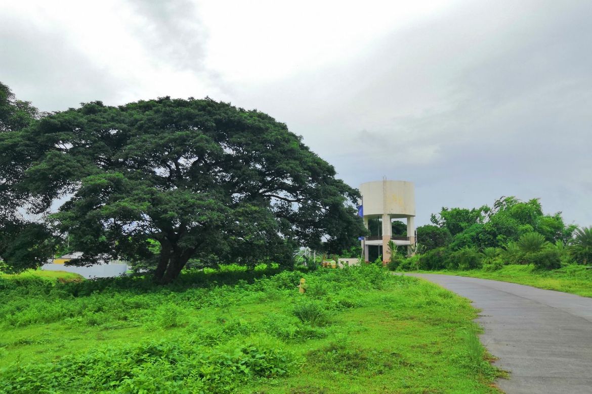 Land for Sale in Nusa Dua, Paradahan I, Tanza, Cavite – photo 5