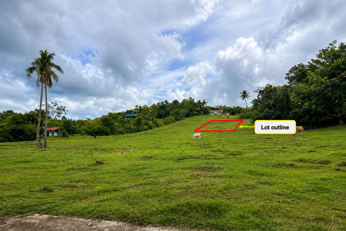 Land for Sale in Oceanova Beach & Golf Estate, Bancasan, San Remigio, Cebu – photo 2