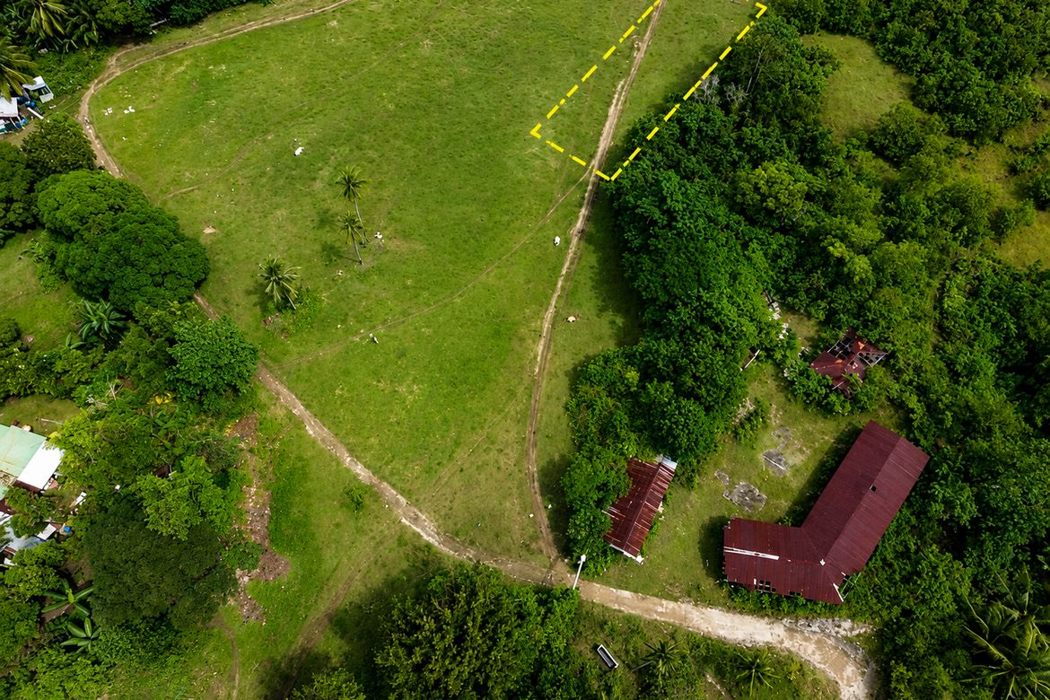 Land for Sale in Oceanova Beach & Golf Estate, Bancasan, San Remigio, Cebu – photo 3