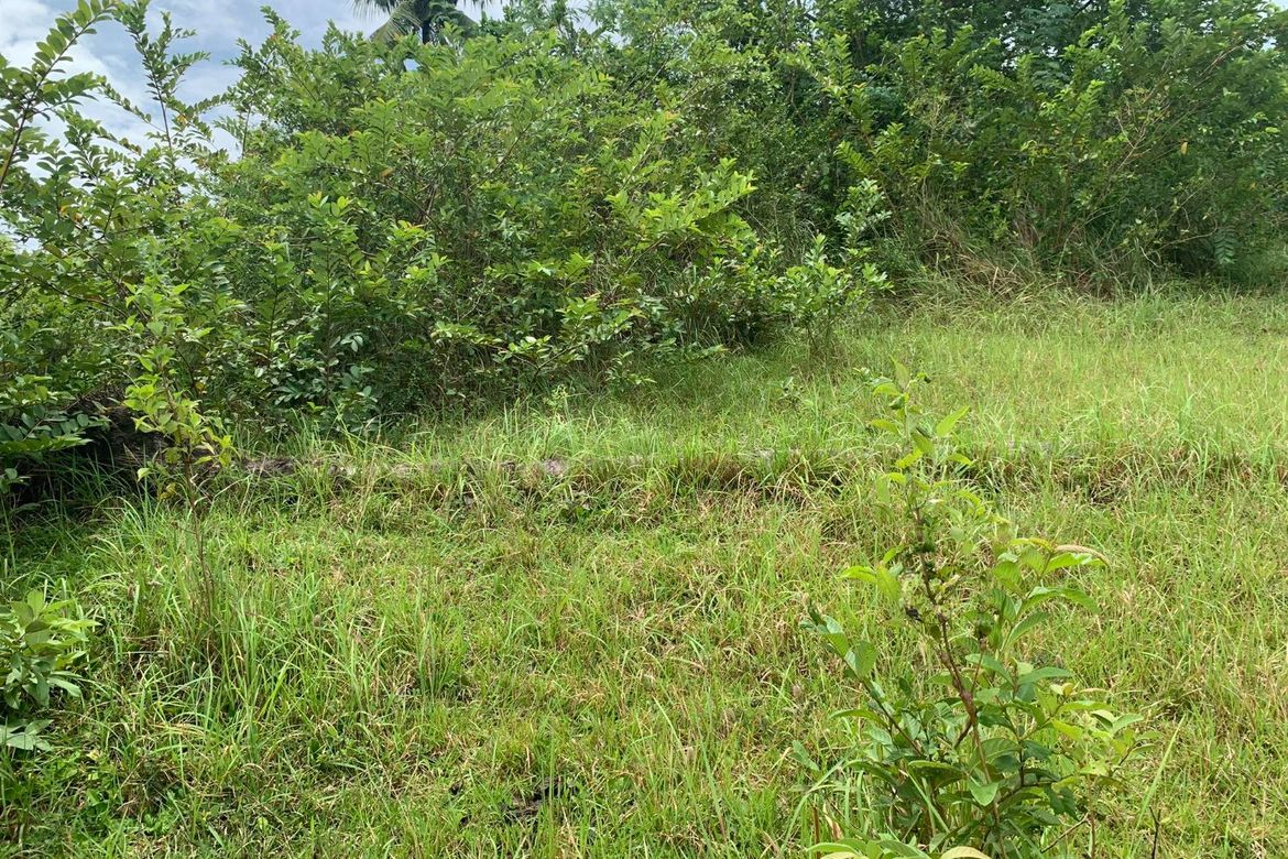 Land for Sale in Olango, Aloguinsan, Cebu – photo 5