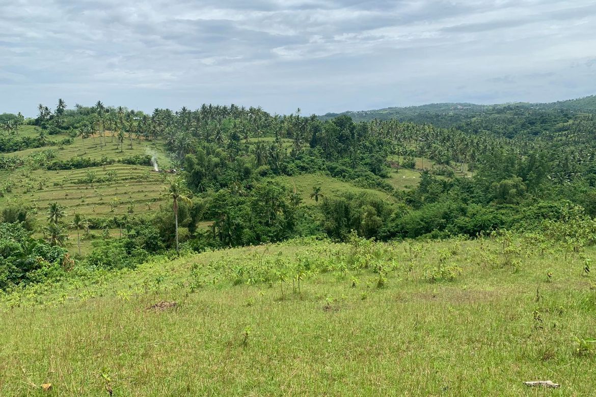 Land for Sale in Olango, Aloguinsan, Cebu – photo 7