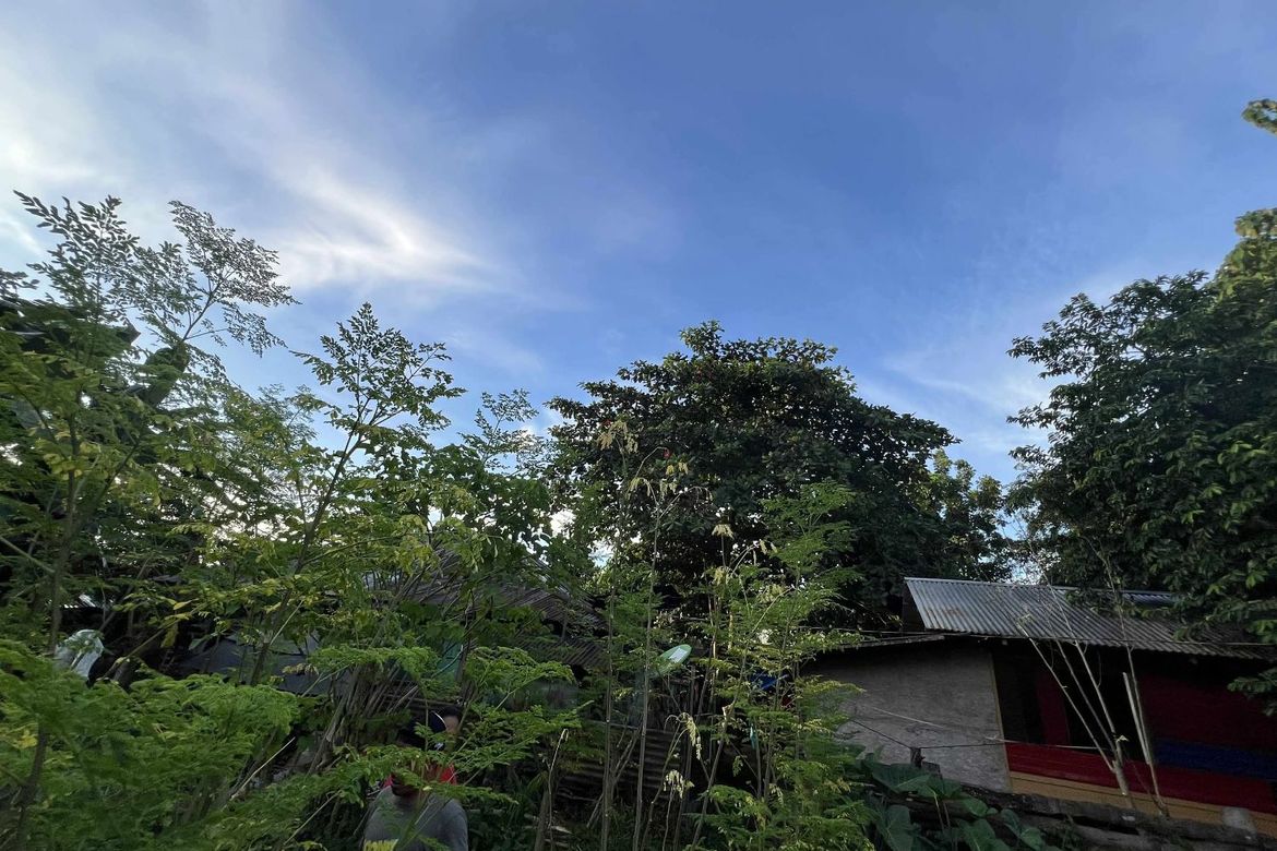 Land for Sale in Olingan, Dipolog, Zamboanga del Norte – photo 5