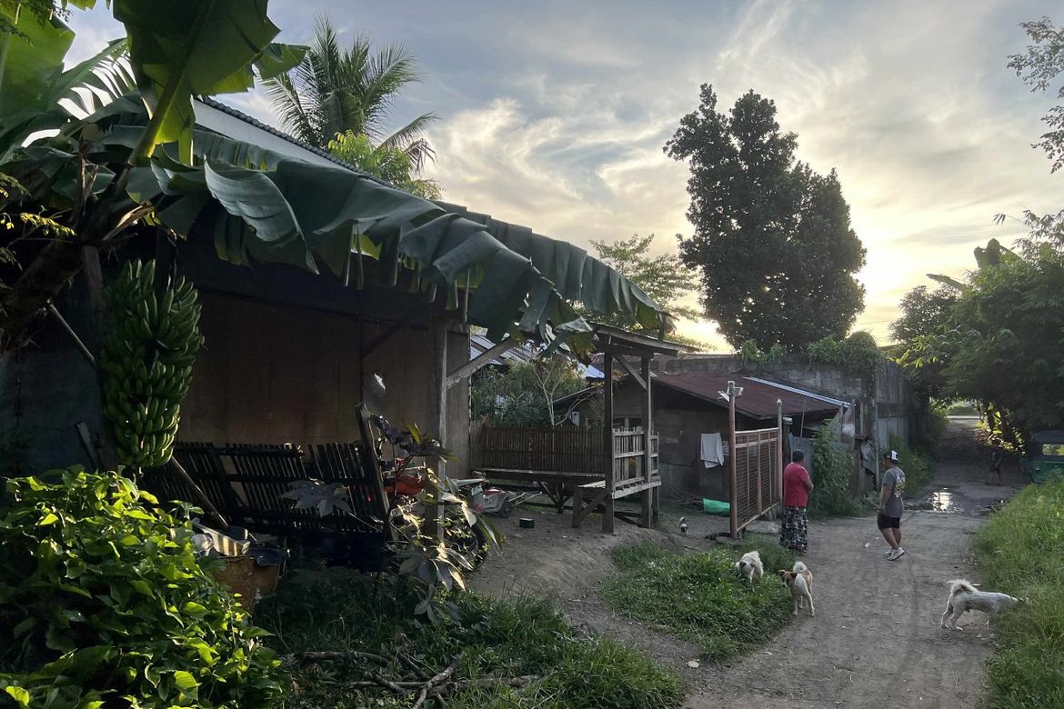 Land for Sale in Olingan, Dipolog, Zamboanga del Norte – photo 7