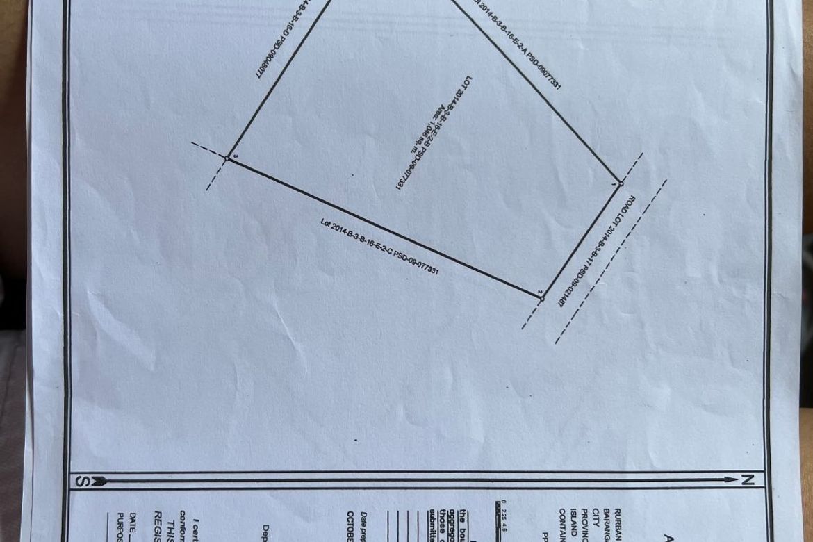 Land for Sale in Olingan, Dipolog, Zamboanga del Norte – photo 8
