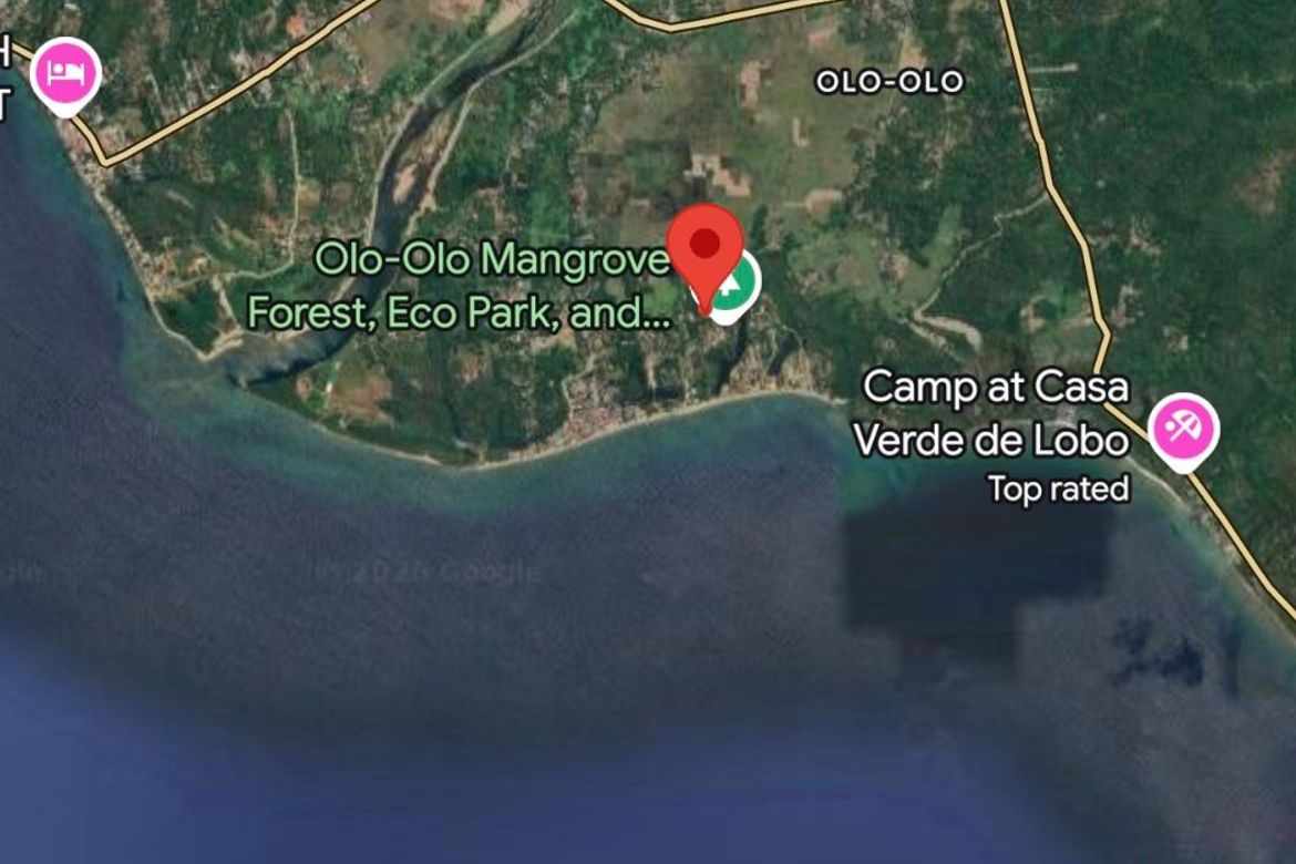 Land for Sale in Olo-Olo, Lobo, Batangas – photo 8