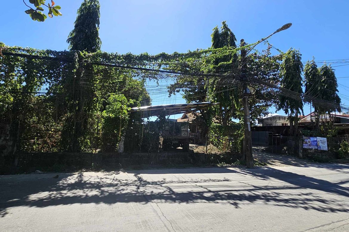 Land for Sale in Oñate de Leon, Iloilo City, Iloilo – photo 2