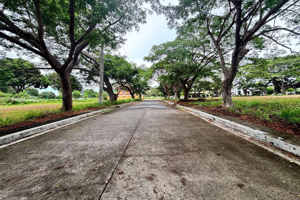 Land for Sale in Orchard Residential Estates and Golf, Salawag, Dasmariñas, Cavite – photo 2