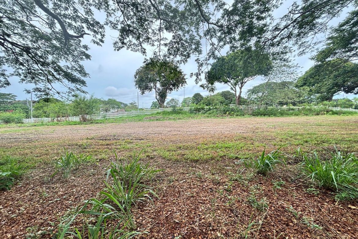 Land for Sale in Orchard Residential Estates and Golf, Salawag, Dasmariñas, Cavite – photo 3