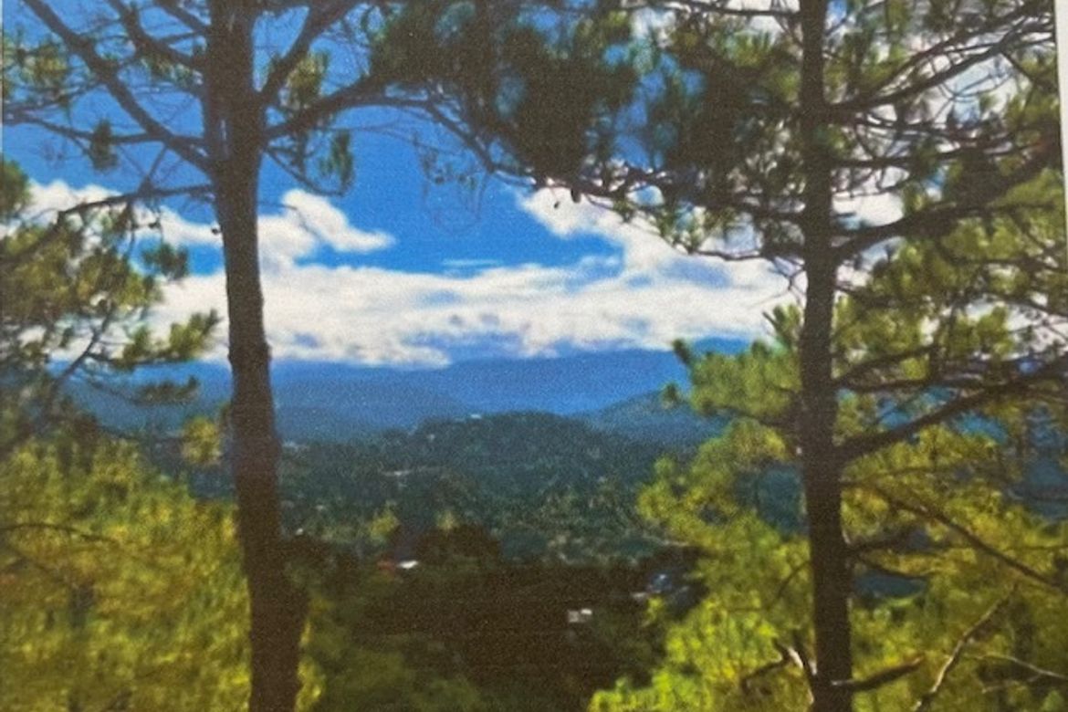 Land for Sale in Outlook Drive, Baguio, Benguet – photo 2