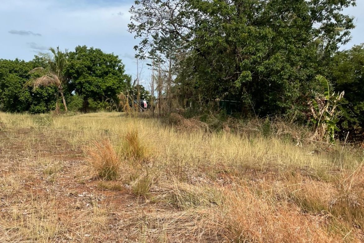 Land for Sale in Pacalat, Mangatarem, Pangasinan – photo 3
