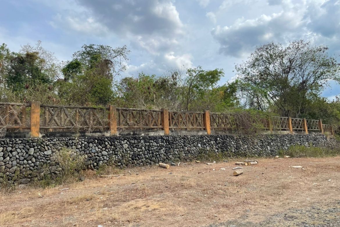 Land for Sale in Pacalat, Mangatarem, Pangasinan – photo 4
