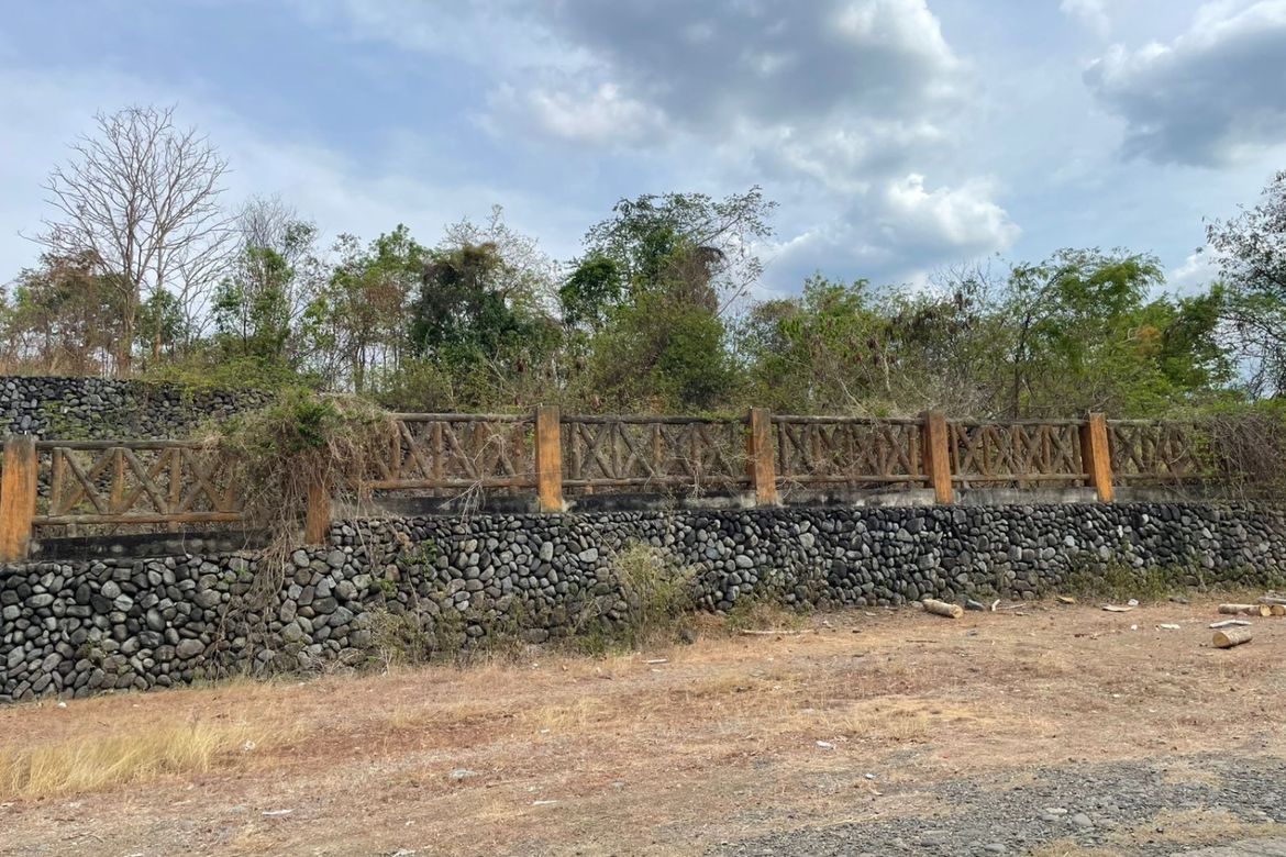 Land for Sale in Pacalat, Mangatarem, Pangasinan – photo 6