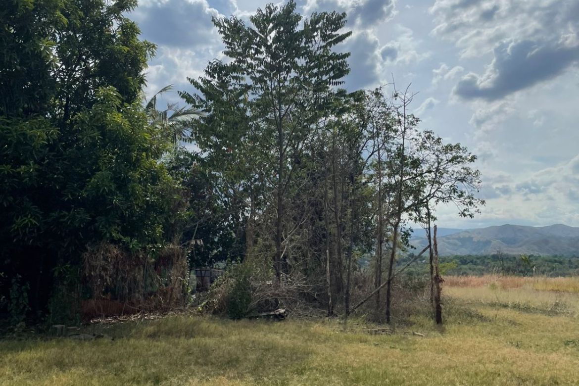 Land for Sale in Pacalat, Mangatarem, Pangasinan – photo 7