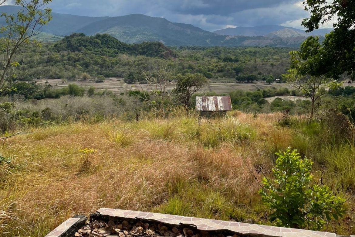 Land for Sale in Pacalat, Mangatarem, Pangasinan – photo 8