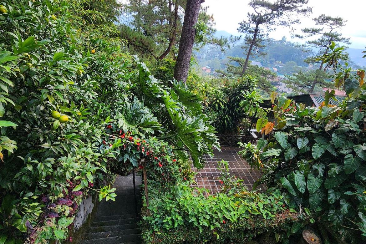 Land for Sale in Pacdal, Baguio, Benguet – photo 4