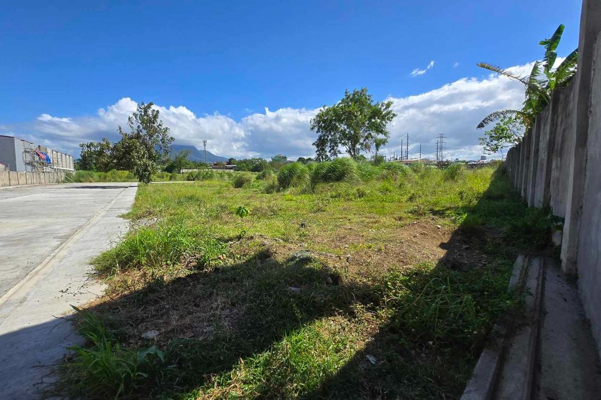 Land for Sale in Paciano Rizal, Calamba, Laguna – photo 4