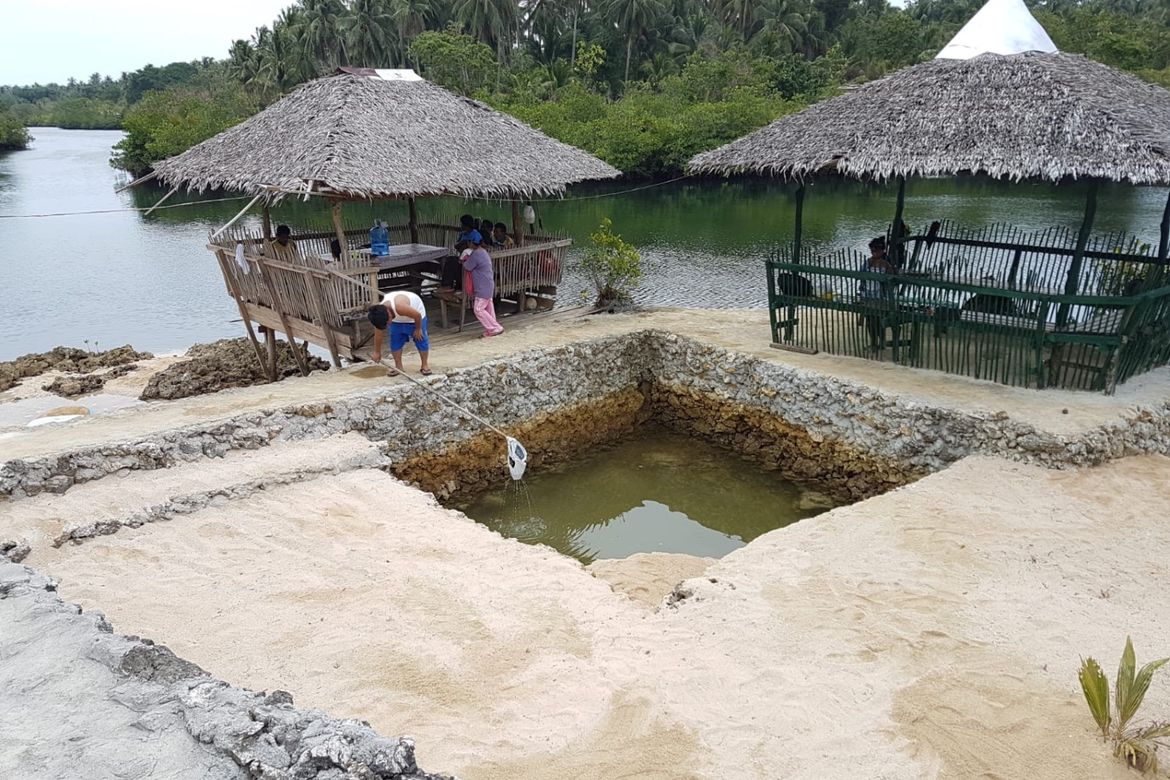 Land for Sale in Pacifico, San Isidro, Surigao del Norte – photo 2