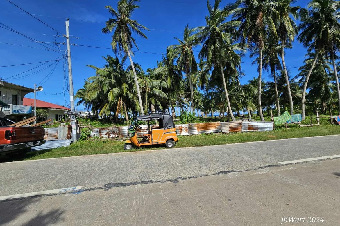 Land for Sale in Pacifico, San Isidro, Surigao del Norte – photo 8