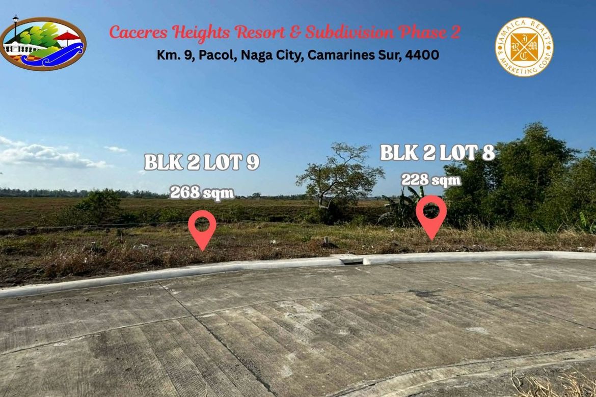 Land for Sale in Pacol, Naga, Camarines Sur – photo 2
