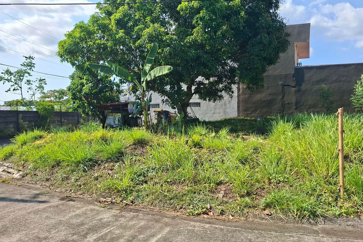 Land for Sale in Pacol, Naga, Camarines Sur – photo 5