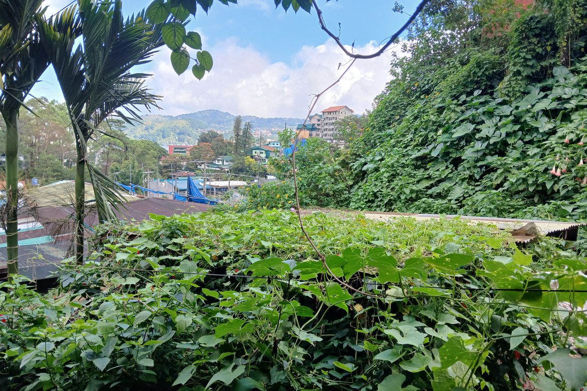 Land for Sale in Padre Burgos, Baguio, Benguet