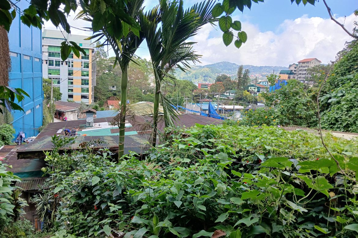 Land for Sale in Padre Burgos, Baguio, Benguet – photo 4