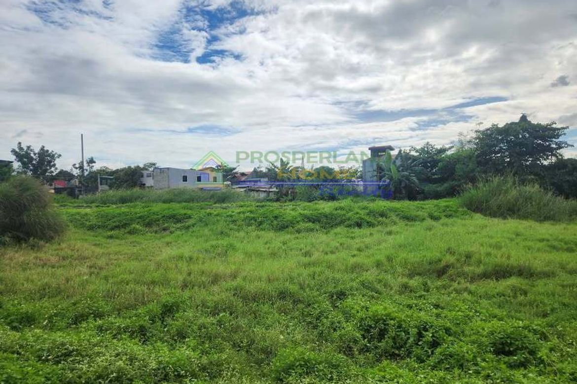 Land for Sale in Pag-Asa, Binangonan, Rizal – photo 3